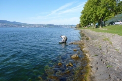 P1050904