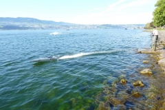 P1050908