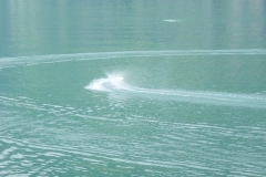 P1070072